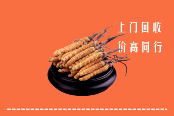 高价求购：兰溪市回收散虫草