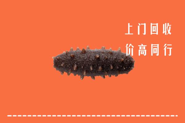 高价求购：兰溪市回收海参