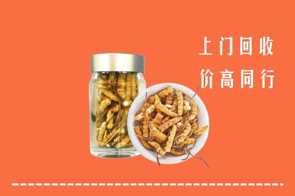 兰溪市回收冬虫夏草